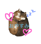 猫88（個別スタンプ：3）
