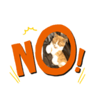 猫88（個別スタンプ：6）