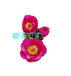 花ちゃんのお花畑（個別スタンプ：1）