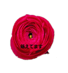 花ちゃんのお花畑（個別スタンプ：2）