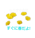 花ちゃんのお花畑（個別スタンプ：7）