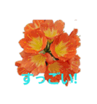 花ちゃんのお花畑（個別スタンプ：8）