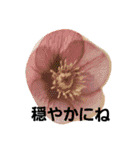 花ちゃんのお花畑（個別スタンプ：10）