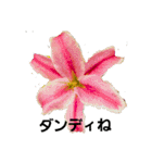 花ちゃんのお花畑（個別スタンプ：12）