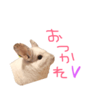 我が家の動物達❤︎（個別スタンプ：5）