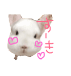 我が家の動物達❤︎（個別スタンプ：8）