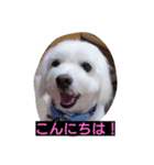 いずみ（個別スタンプ：1）