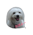いずみ（個別スタンプ：5）