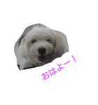 いずみ（個別スタンプ：8）
