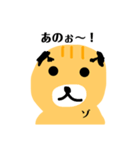 太田さん家のアザラシ たわし君（個別スタンプ：13）