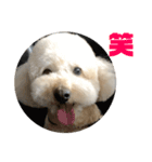 ゆめせーのSTAMP（個別スタンプ：6）