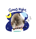 猫のルークにゃんスタンプ（個別スタンプ：5）