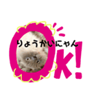 猫のルークにゃんスタンプ（個別スタンプ：8）