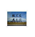 キレイな景色に辛口な言葉遣い集（個別スタンプ：6）