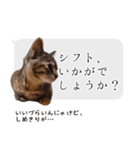 らきもか 四谷ふく stamp（個別スタンプ：2）