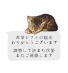 らきもか 四谷ふく stamp（個別スタンプ：3）