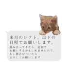らきもか 四谷ふく stamp（個別スタンプ：4）