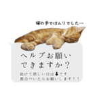 らきもか 四谷ふく stamp（個別スタンプ：5）