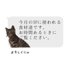 らきもか 四谷ふく stamp（個別スタンプ：8）