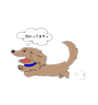 わんわんお。(スマホとあいさつ)（個別スタンプ：13）