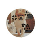 ち＆べ＆ら❸（個別スタンプ：1）