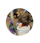 ち＆べ＆ら❸（個別スタンプ：7）