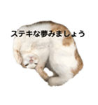 くるみとみるく2（個別スタンプ：4）