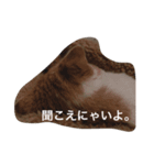 猫のちいさん（個別スタンプ：7）