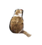 猫のちいさん2（個別スタンプ：2）