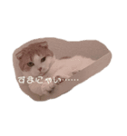 猫のちいさん2（個別スタンプ：4）