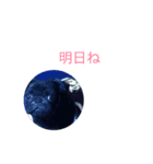 ガルシア2.22（個別スタンプ：3）