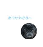 ガルシア2.22（個別スタンプ：4）
