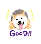 芝犬ミルミル（個別スタンプ：5）