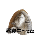 エキゾチック銀之助（個別スタンプ：4）
