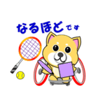 柴犬の車いすテニス（個別スタンプ：5）