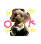 愛犬こはるちゃん（個別スタンプ：2）