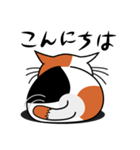 ねことんとん 三毛猫の日常会話01（個別スタンプ：2）