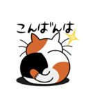ねことんとん 三毛猫の日常会話01（個別スタンプ：3）