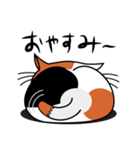 ねことんとん 三毛猫の日常会話01（個別スタンプ：4）