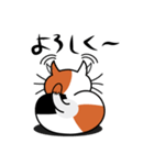 ねことんとん 三毛猫の日常会話01（個別スタンプ：11）