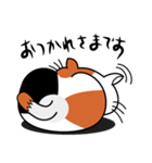 ねことんとん 三毛猫の日常会話01（個別スタンプ：12）