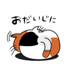 ねことんとん 三毛猫の日常会話01（個別スタンプ：14）
