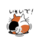 ねことんとん 三毛猫の日常会話01（個別スタンプ：20）