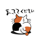 ねことんとん 三毛猫の日常会話01（個別スタンプ：23）