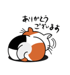 ねことんとん 三毛猫の日常会話01（個別スタンプ：25）
