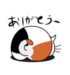 ねことんとん 三毛猫の日常会話01（個別スタンプ：26）
