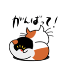 ねことんとん 三毛猫の日常会話01（個別スタンプ：27）