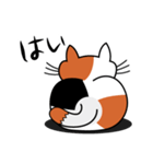 ねことんとん 三毛猫の日常会話01（個別スタンプ：31）