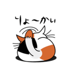 ねことんとん 三毛猫の日常会話01（個別スタンプ：32）