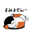 ねことんとん 三毛猫の日常会話01（個別スタンプ：34）